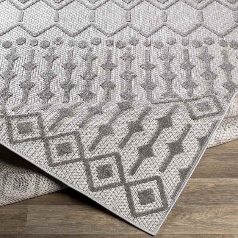 Rupert Global Light Gray Area Rug