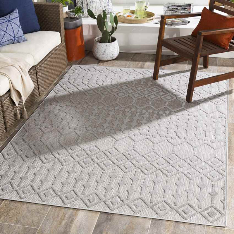 Rupert Global Light Gray Area Rug