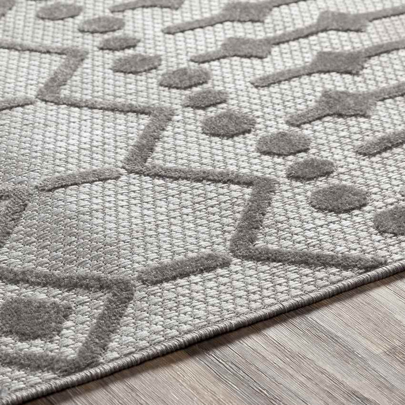 Rupert Global Light Gray Area Rug