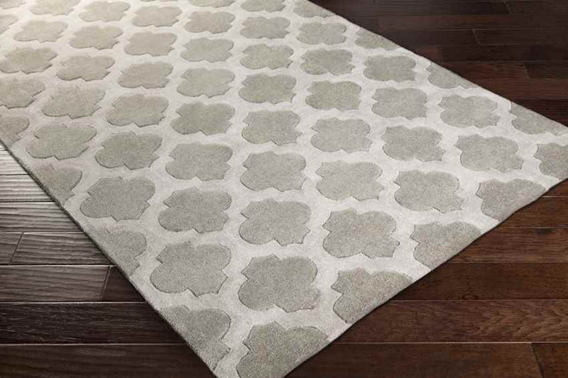 Visvliet Modern Taupe Area Rug