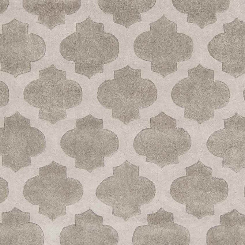 Visvliet Modern Taupe Area Rug