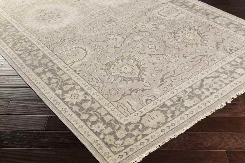 MacGregor Traditional Light Gray Area Rug