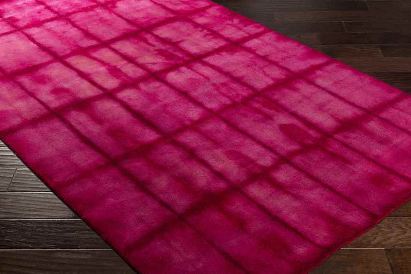 Conway Modern Bright Pink/Burgundy Area Rug