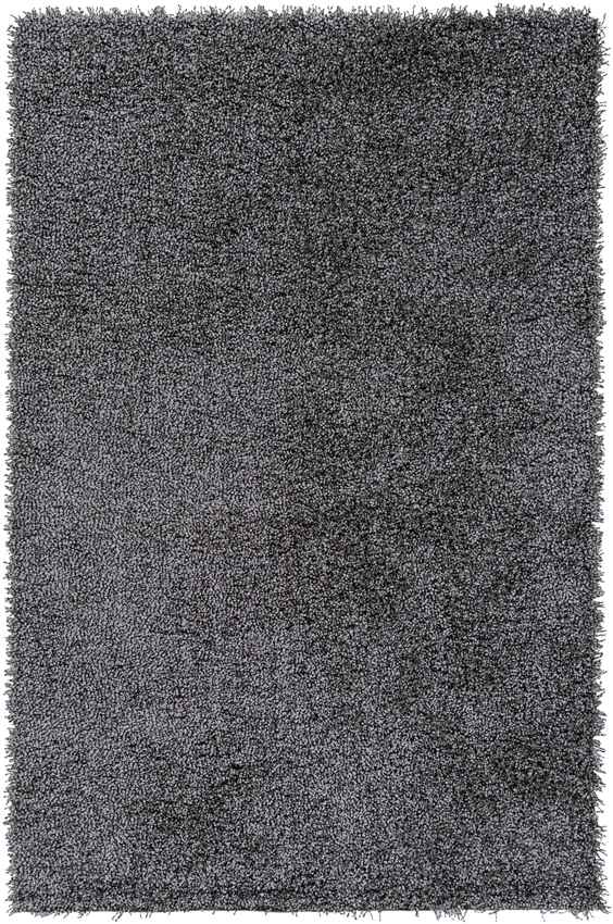 Coolidge Modern Gray Area Rug