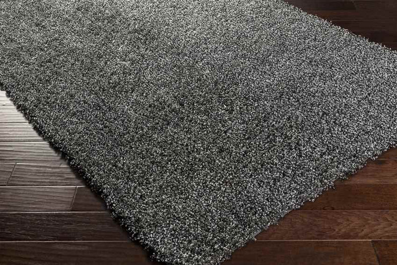 Coolidge Modern Gray Area Rug