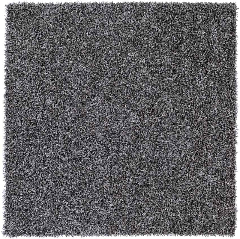 Coolidge Modern Gray Area Rug