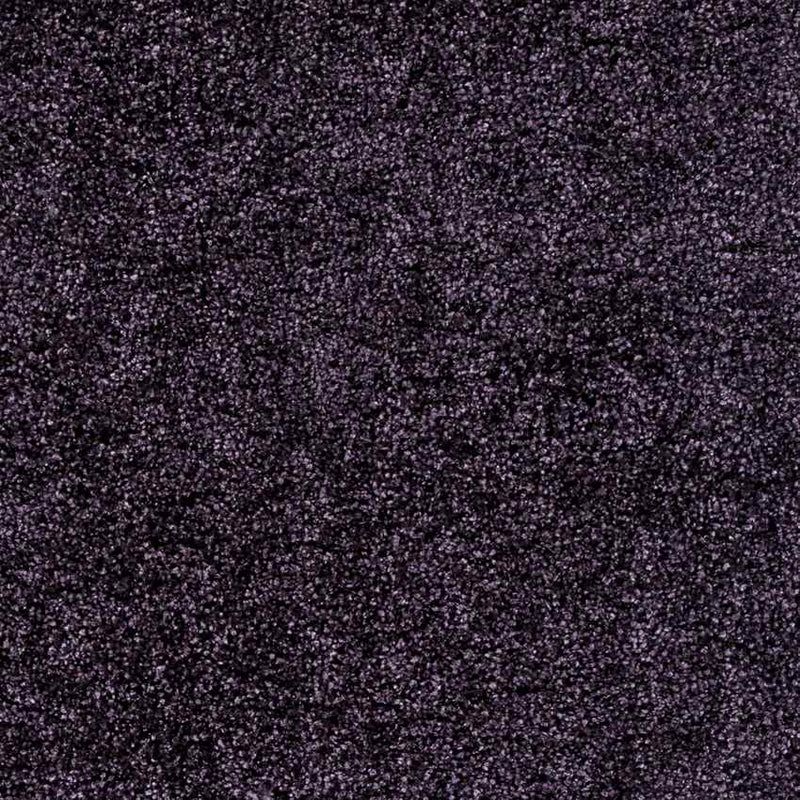 Coolidge Modern Purple Area Rug