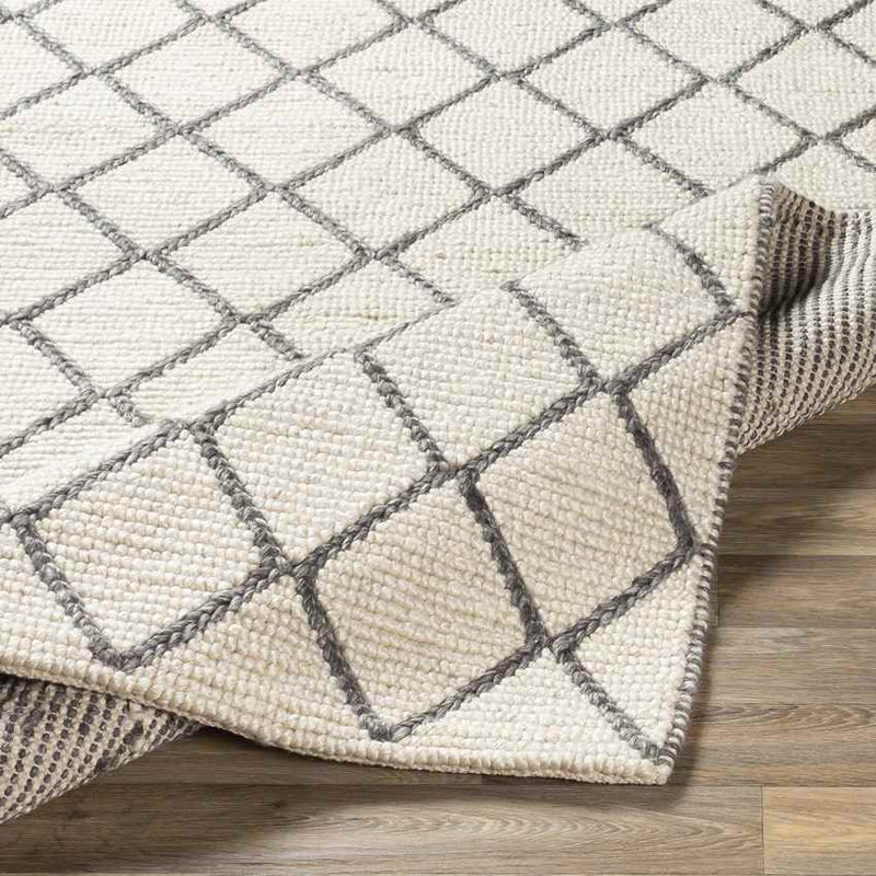 Severin Modern Ivory Area Rug