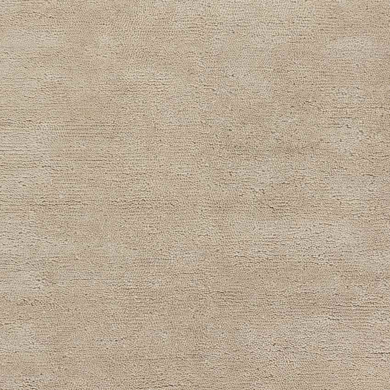 Coweta Modern Khaki Area Rug