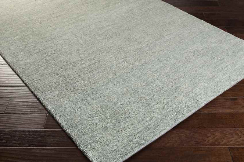 Coweta Modern Sage Area Rug