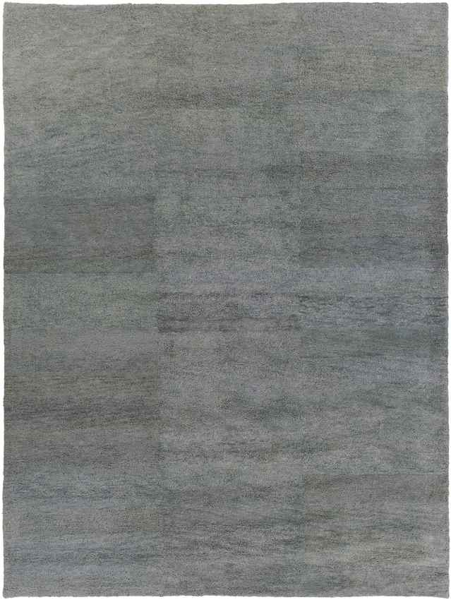 Coweta Modern Sage Area Rug