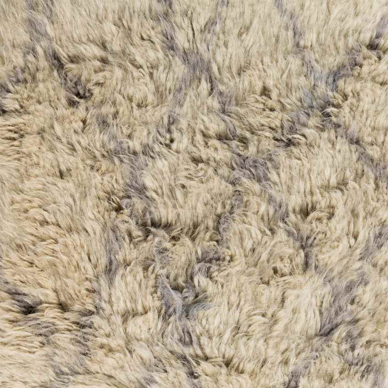 Cushman Modern Gray Area Rug