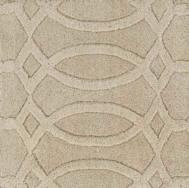 Duarte Modern Beige Area Rug