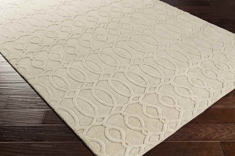 Duarte Modern Beige Area Rug