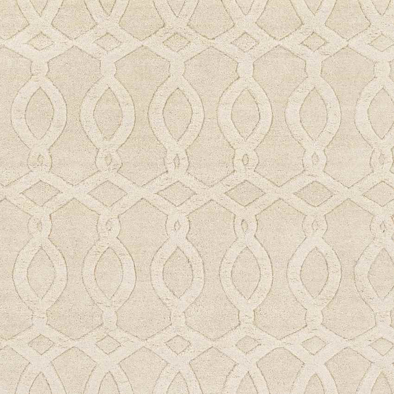 Duarte Modern Beige Area Rug