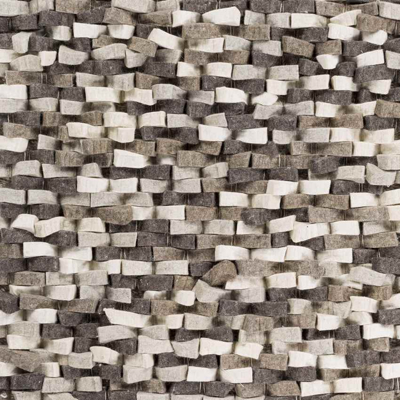 Echols Modern Light Gray Area Rug