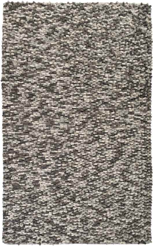 Echols Modern Light Gray Area Rug