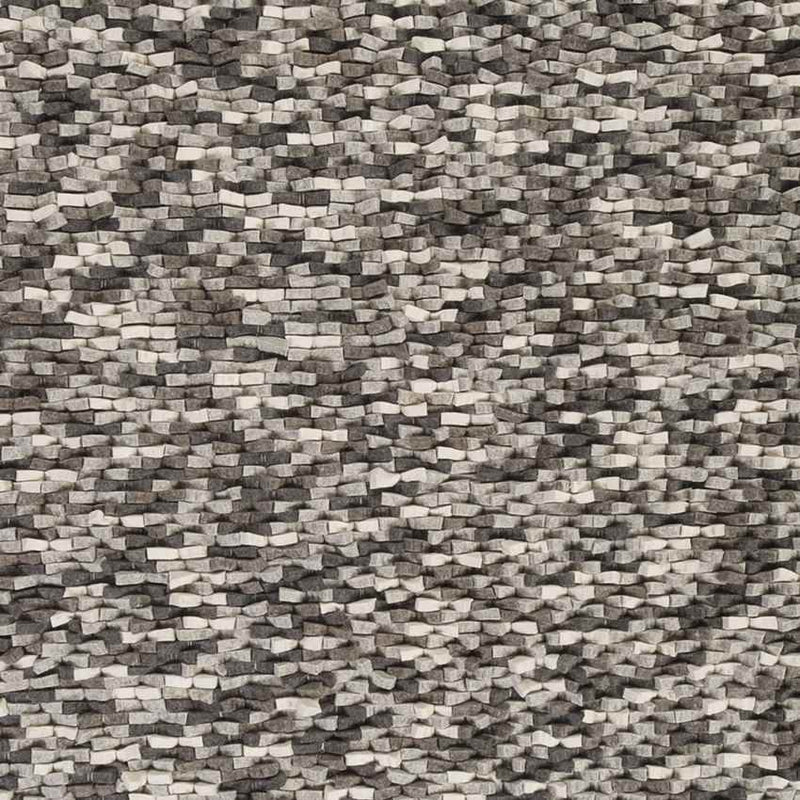 Echols Modern Light Gray Area Rug