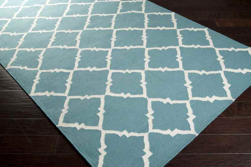 Selwerd Modern Aqua Area Rug