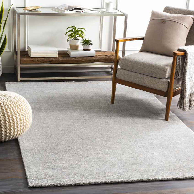 Remy Modern Medium Gray Area Rug