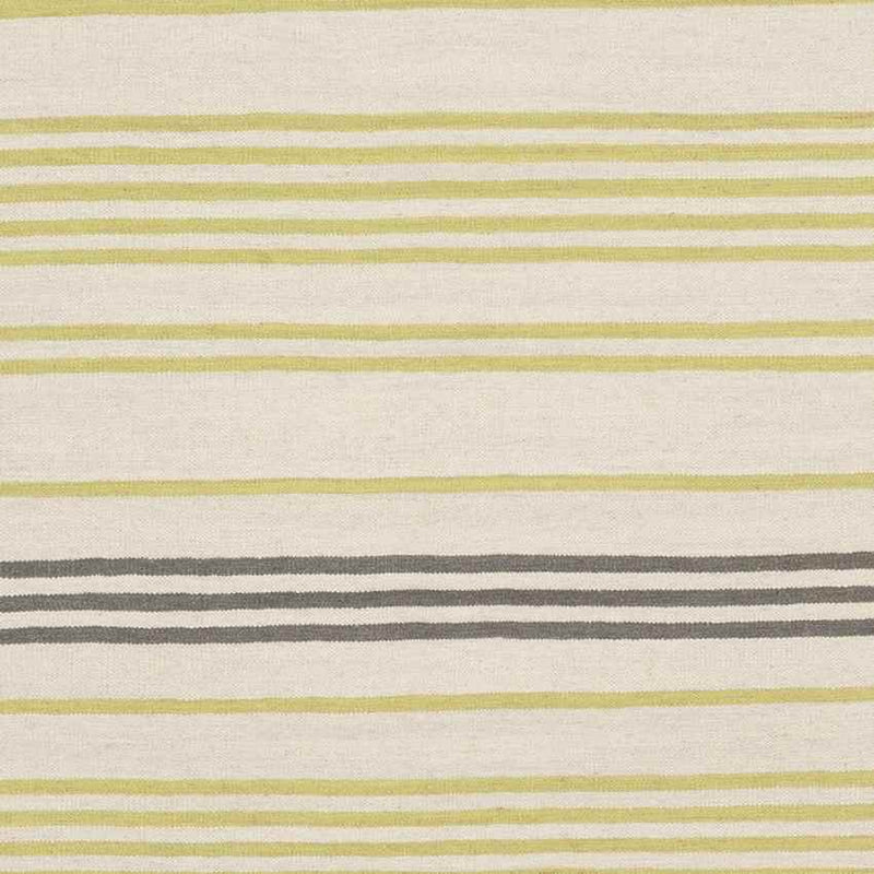 Epes Modern Lime/Gray Area Rug