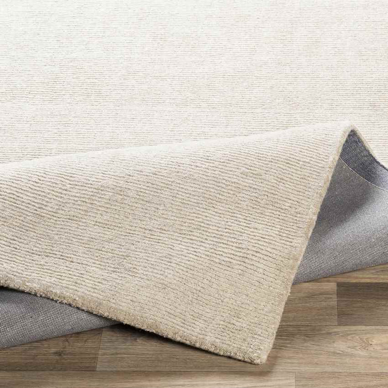 Remy Modern Ivory Area Rug