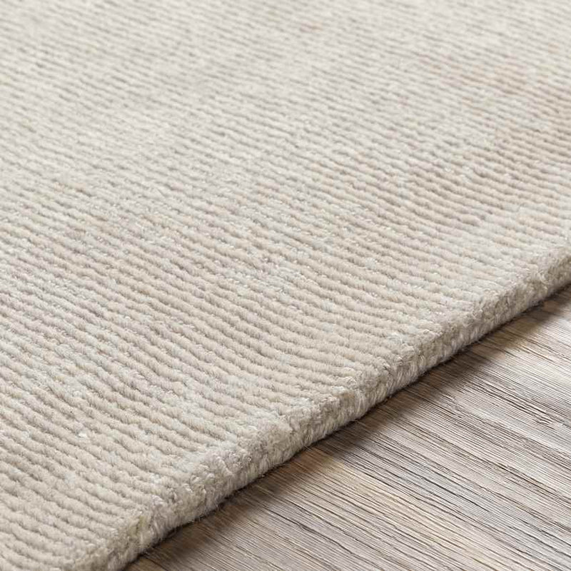 Remy Modern Ivory Area Rug