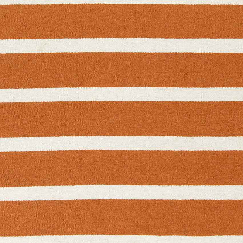 Eva Modern Burnt Orange White Area Rug