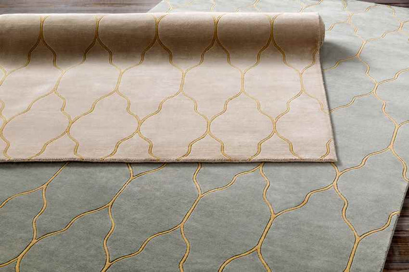 Flagstaff Modern Beige Area Rug