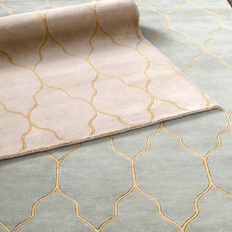 Flagstaff Modern Beige Area Rug