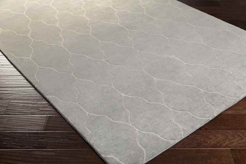 Flagstaff Modern Taupe Area Rug