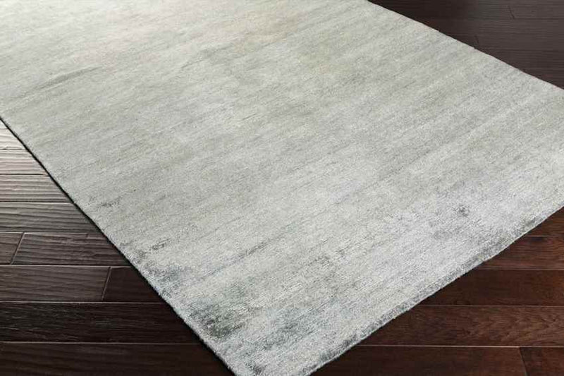 Forkland Modern Light Gray Area Rug