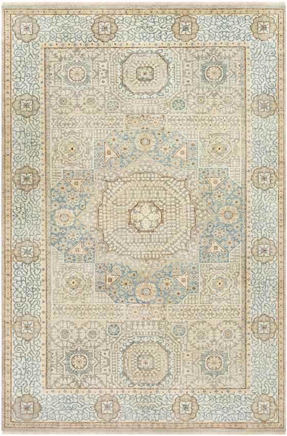 Sidonie Traditional Aqua Area Rug