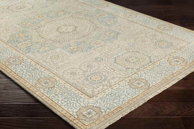 Sidonie Traditional Aqua Area Rug