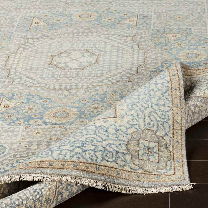 Sidonie Traditional Aqua Area Rug