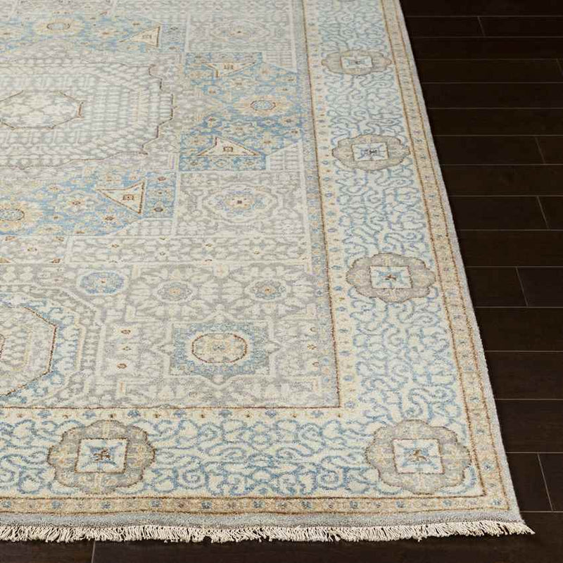 Sidonie Traditional Aqua Area Rug