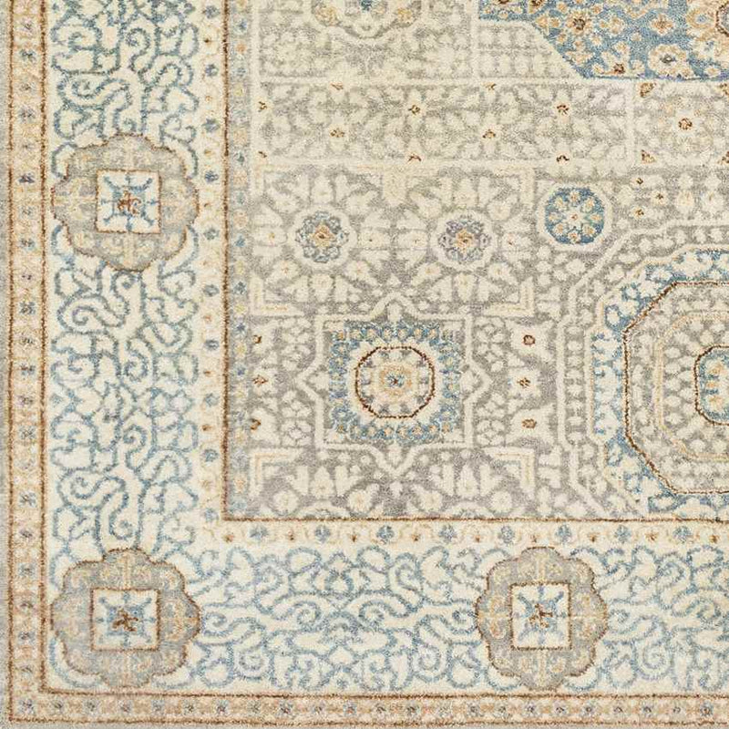 Sidonie Traditional Aqua Area Rug