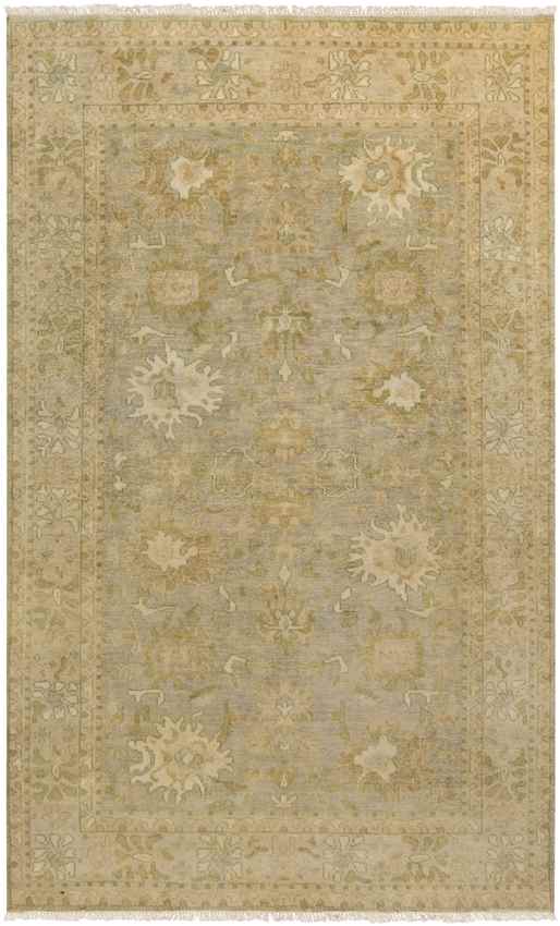 Gordonville Traditional Sea Foam Area Rug