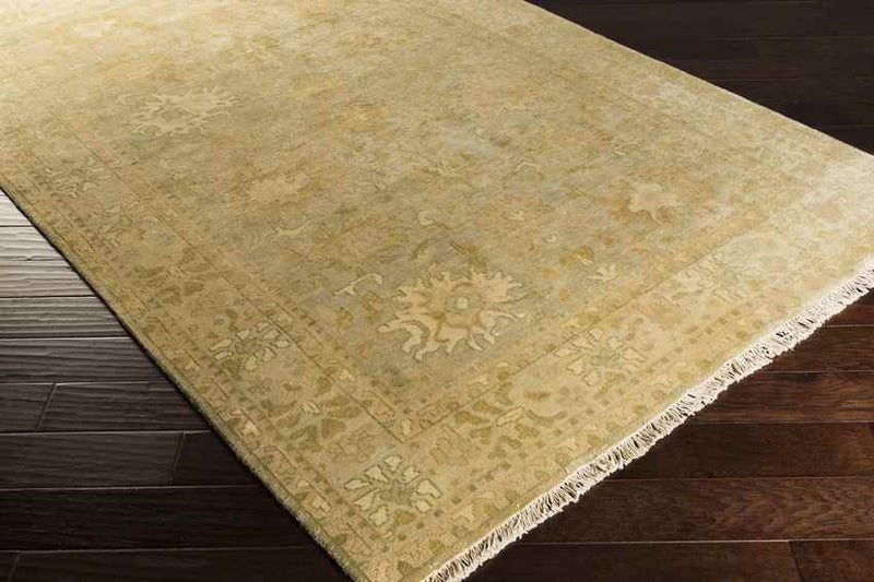 Gordonville Traditional Sea Foam Area Rug