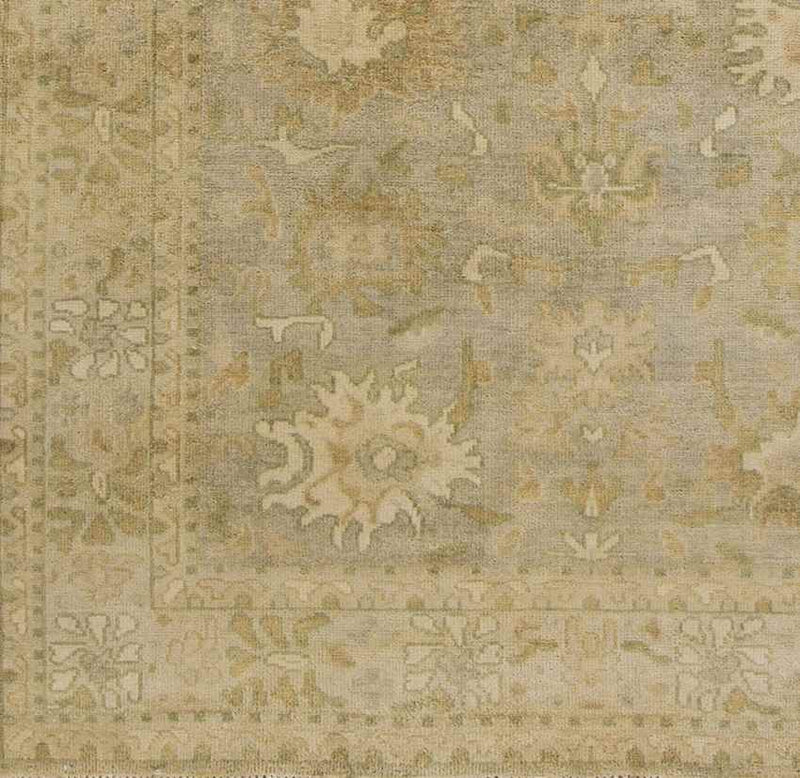 Gordonville Traditional Sea Foam Area Rug