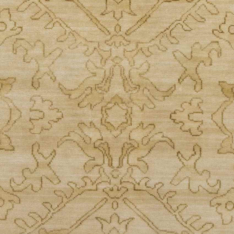 Colmar Traditional Beige Area Rug