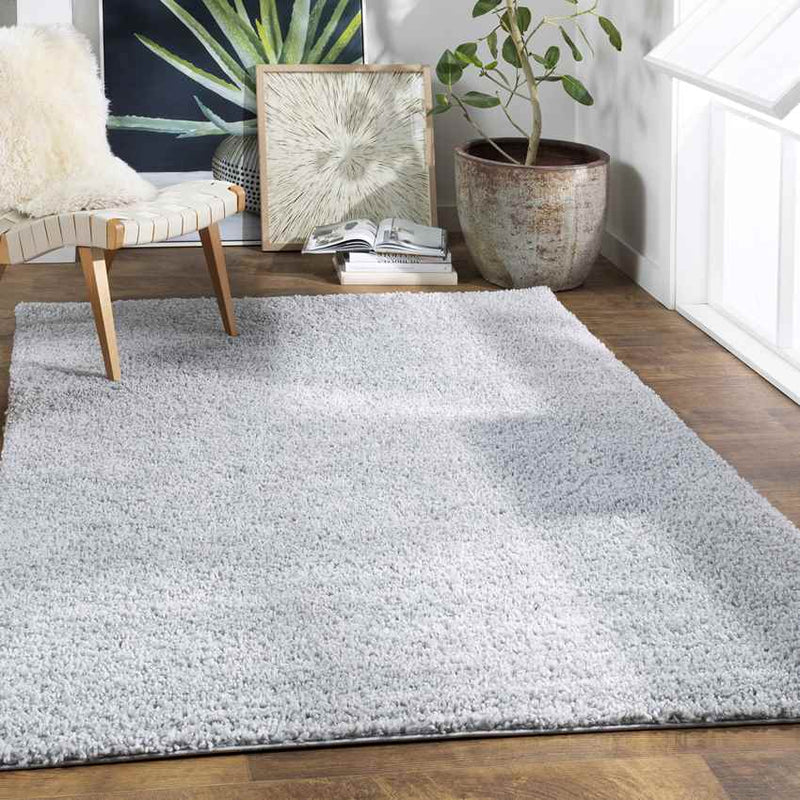 Vere Modern Light Gray Area Rug