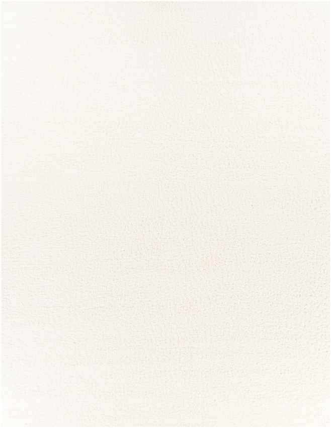 Vere Modern White Area Rug