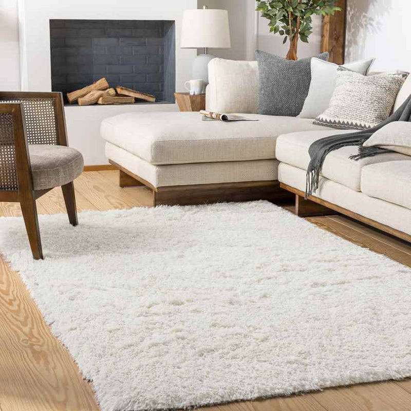 Verity Modern Cream Area Rug