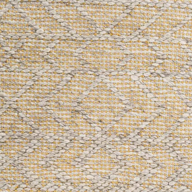 Ales Global Beige Area Rug