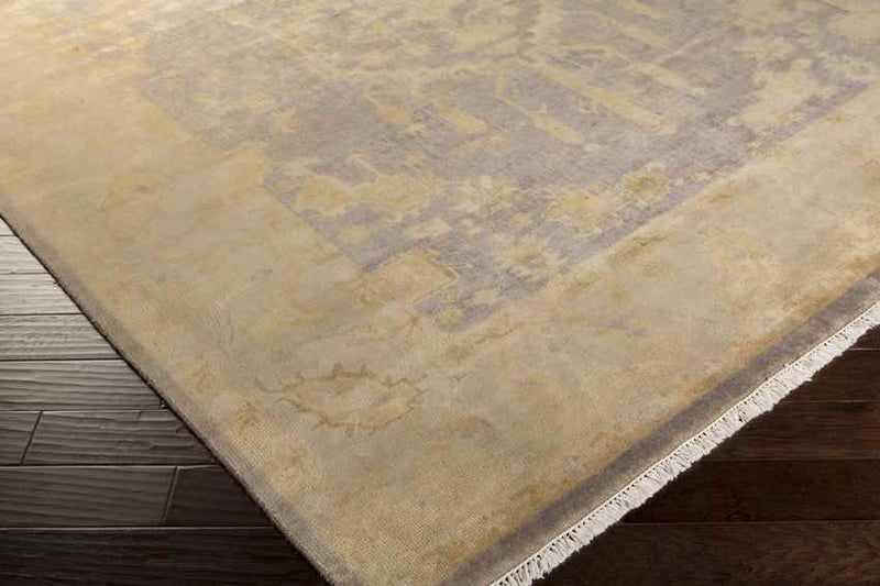 Hillsborough Traditional Gold/Gray Area Rug