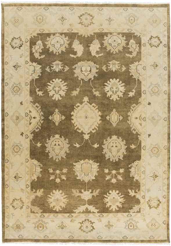 Hiltonia Traditional Beige/Gold Area Rug