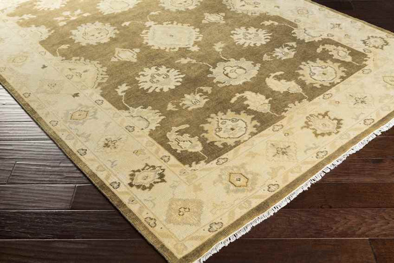 Hiltonia Traditional Beige/Gold Area Rug