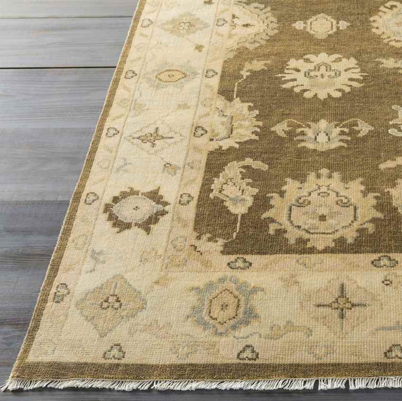 Hiltonia Traditional Beige/Gold Area Rug