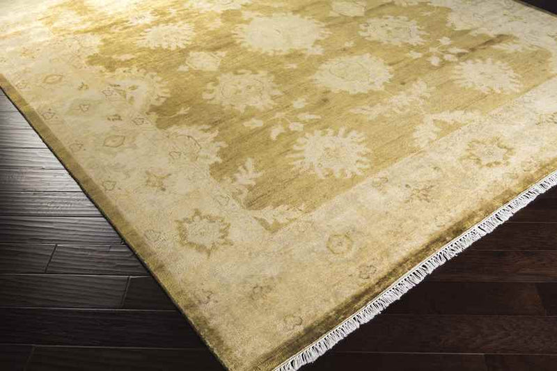 Hiltonia Traditional Beige/Gold Area Rug